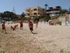thumb_DSC00209.JPG